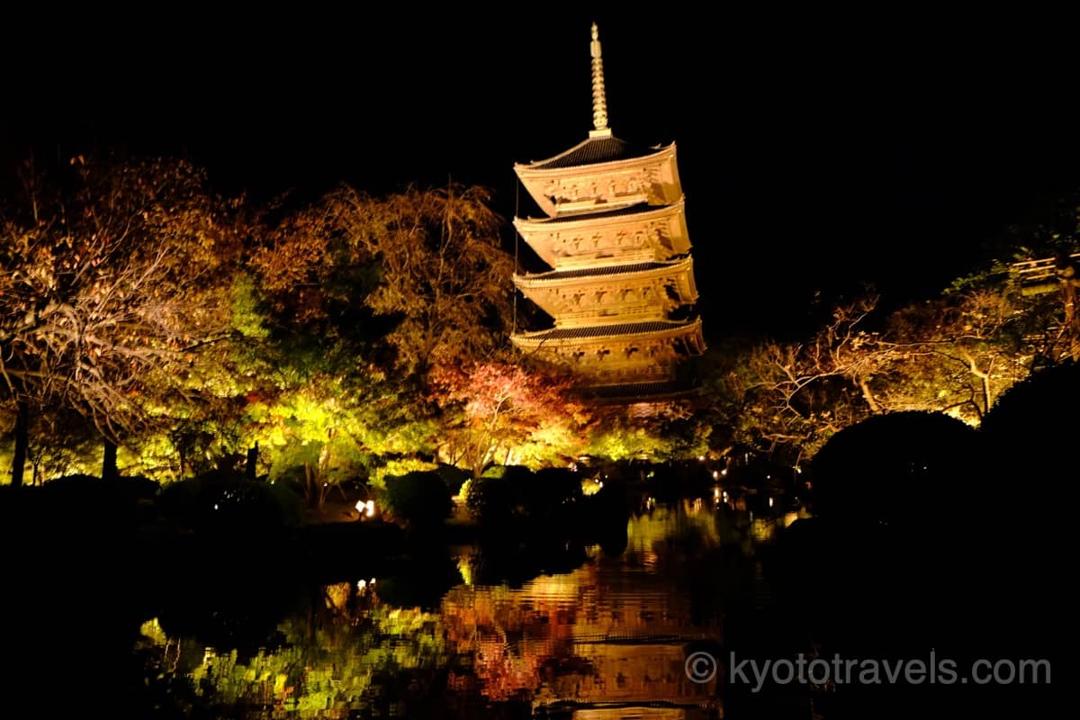 東寺 五重塔の紅葉ライトアップ