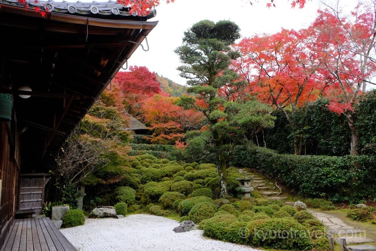 金福寺 紅葉した枯山水庭園を下から眺めています。