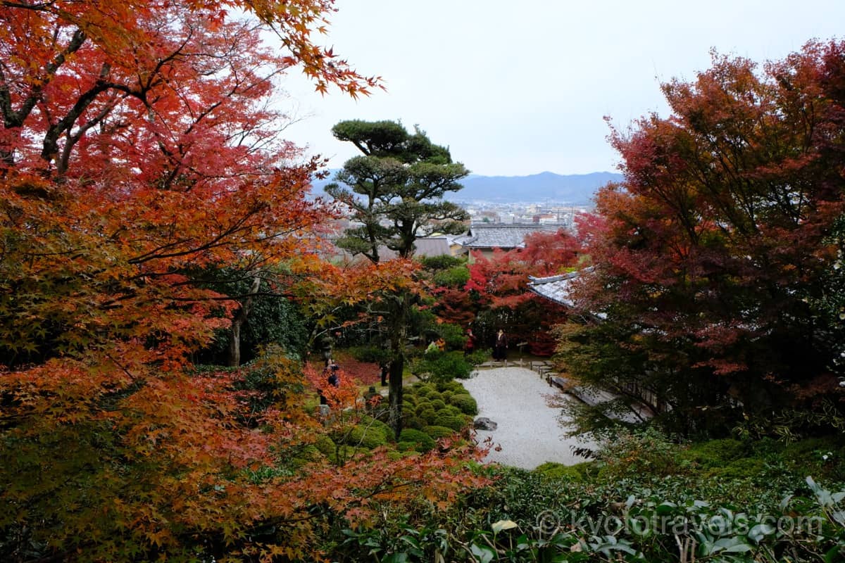 紅葉した金福寺の枯山水庭園を上から眺めたところです。