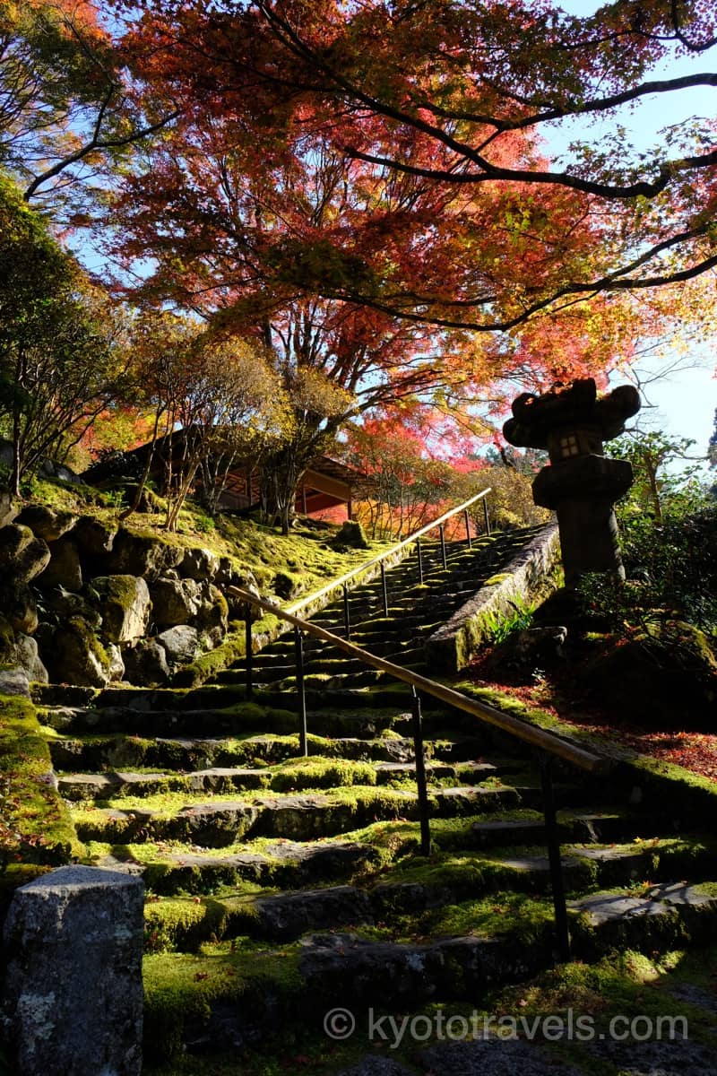 白龍園の石階段と紅葉