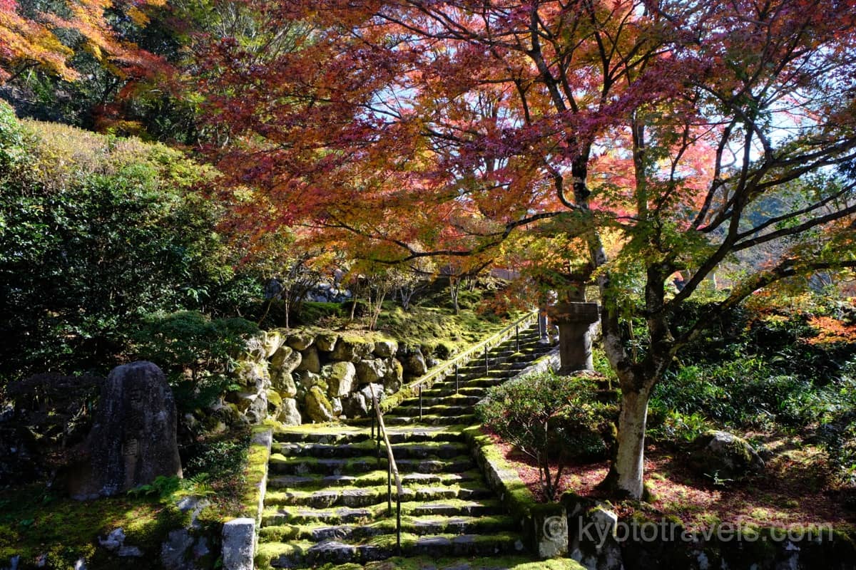 白龍園の紅葉と石階段