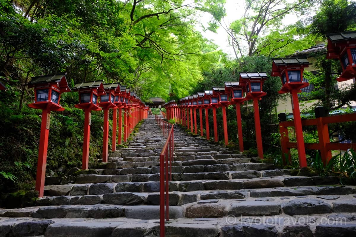 貴船神社 新緑の石階段