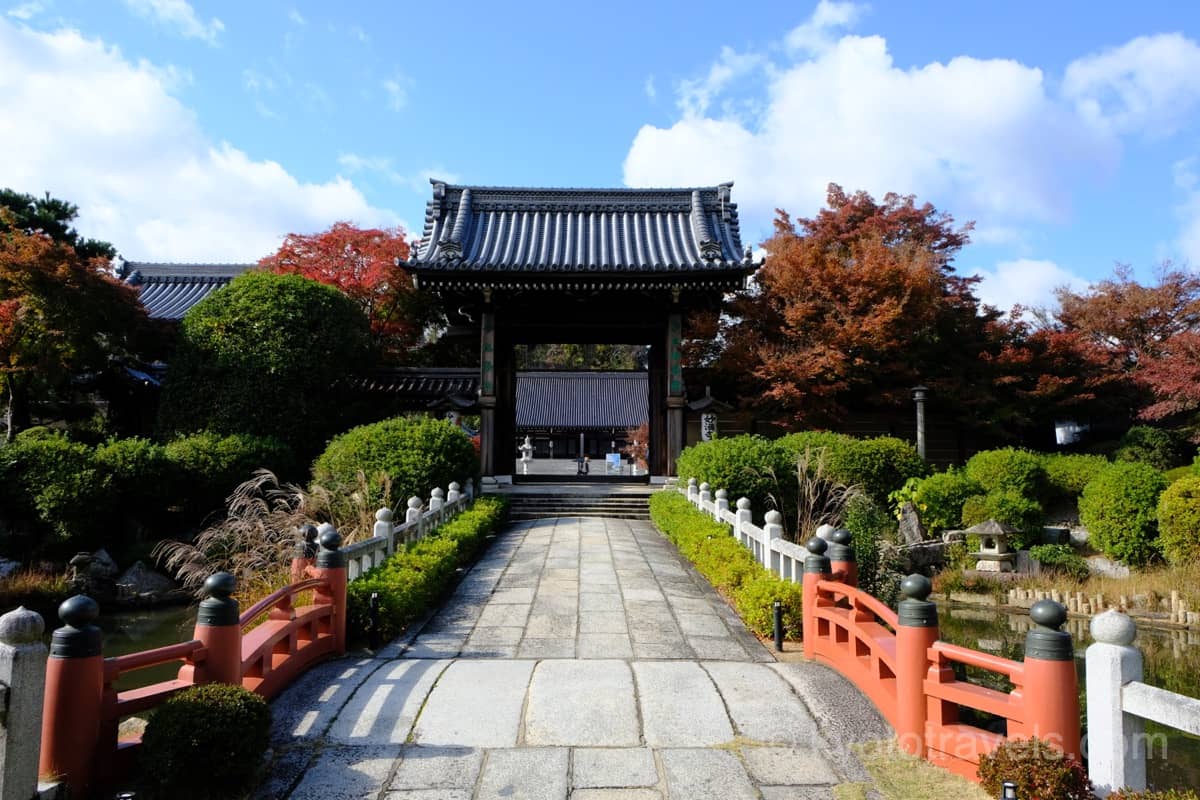 妙満寺の門と紅葉