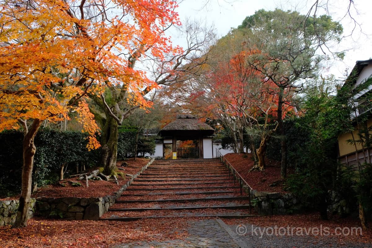 安楽寺 散り紅葉と山門