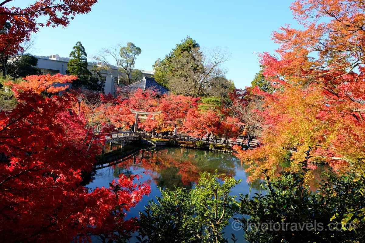 永観堂 放生池の紅葉を上から眺める
