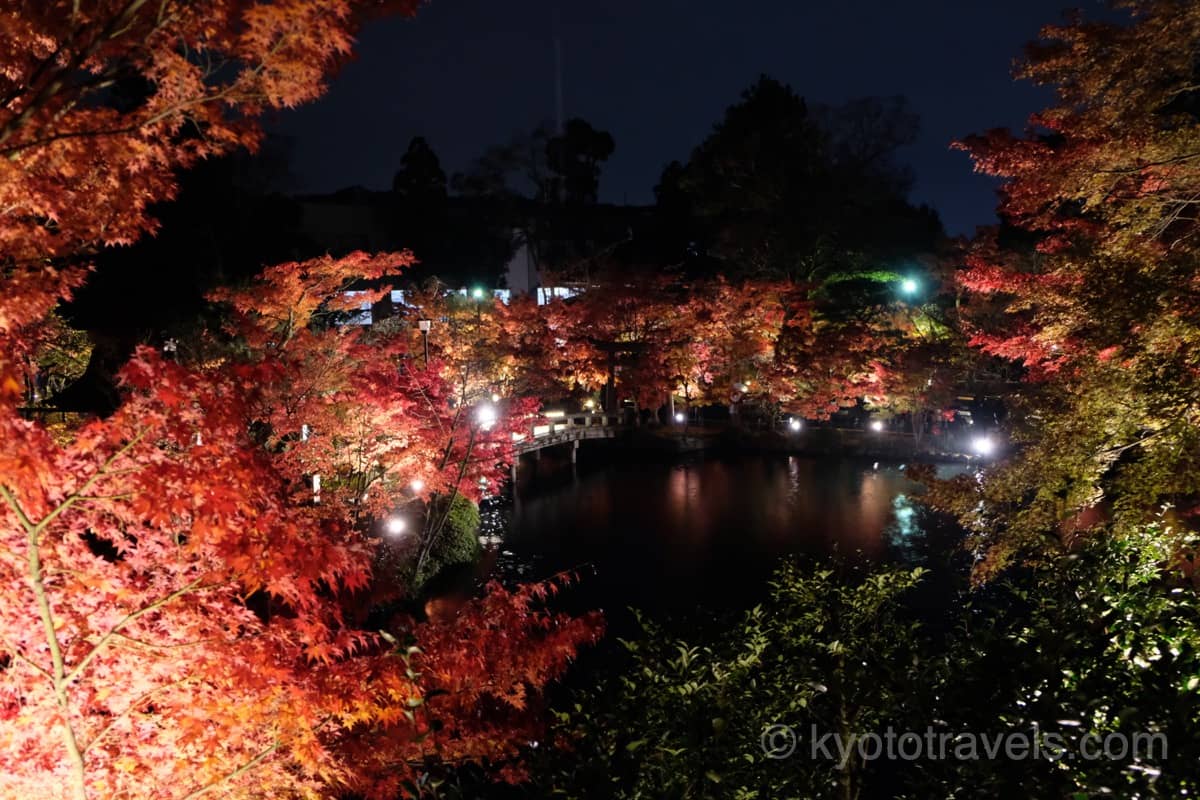 永観堂 放生池の紅葉ライトアップを上から眺める