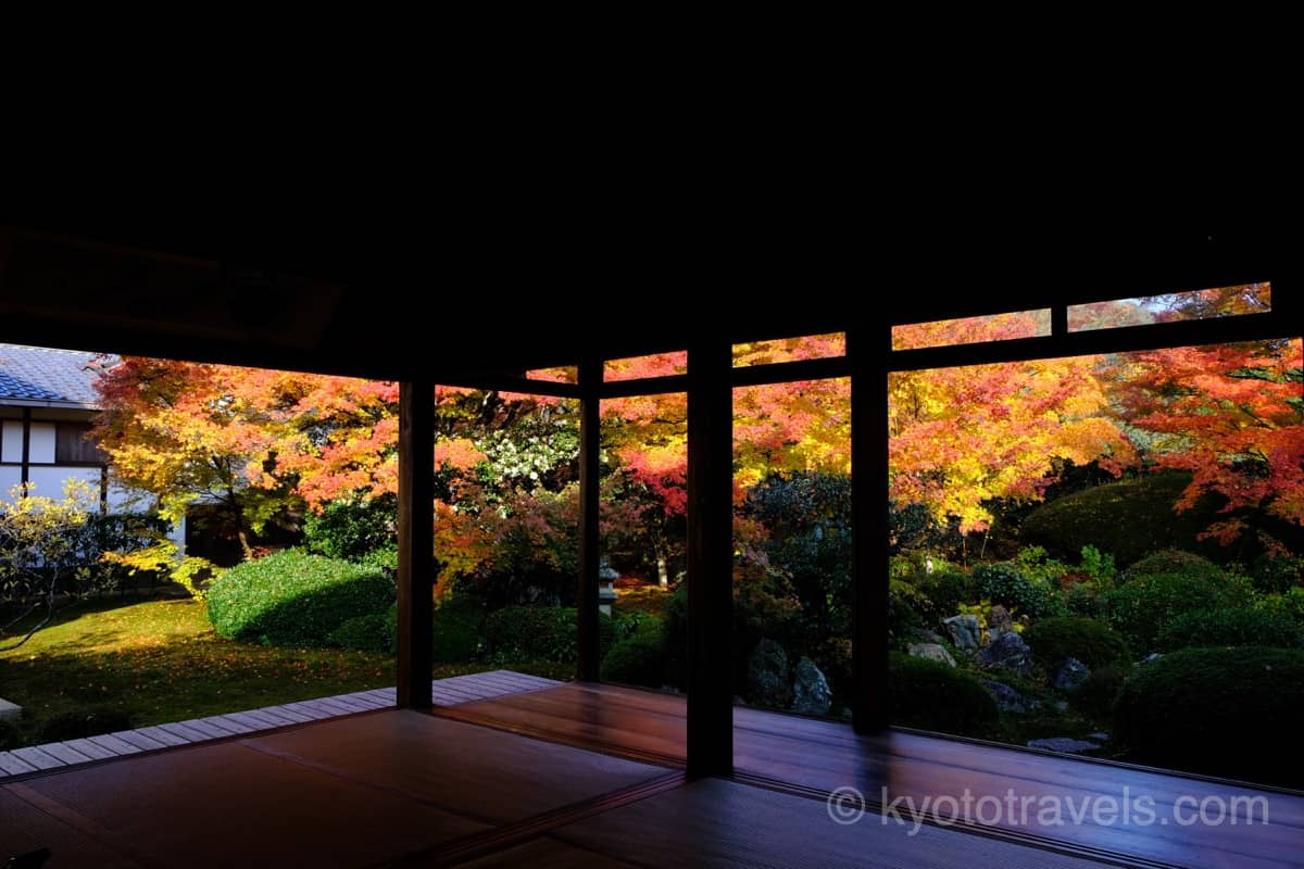 源光庵 枯山水庭園の紅葉を本堂から眺める