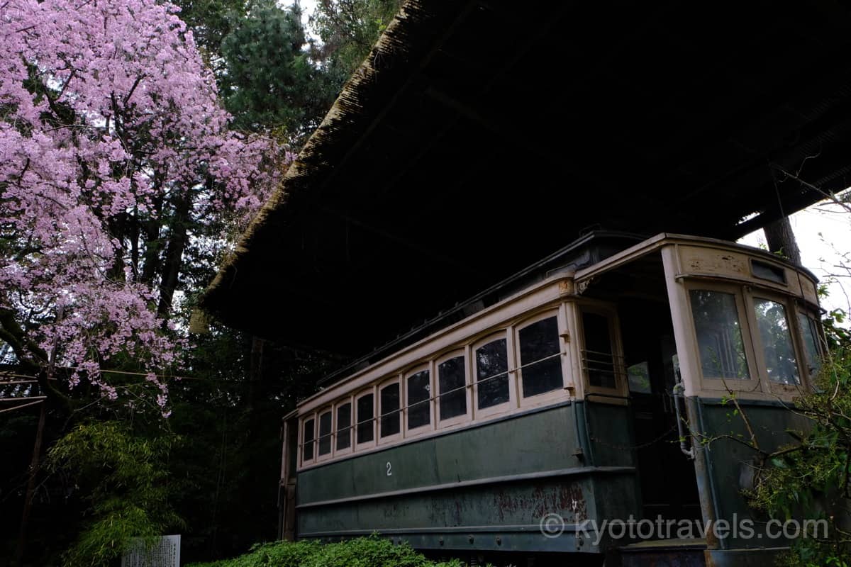 平安神宮 神苑の桜と路面電車