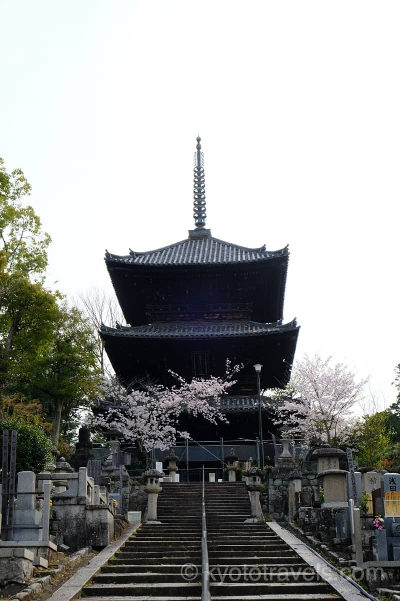 洛東 金戒光明寺のアクセス 拝観料 見どころ 混雑などの観光情報 京都のいろは