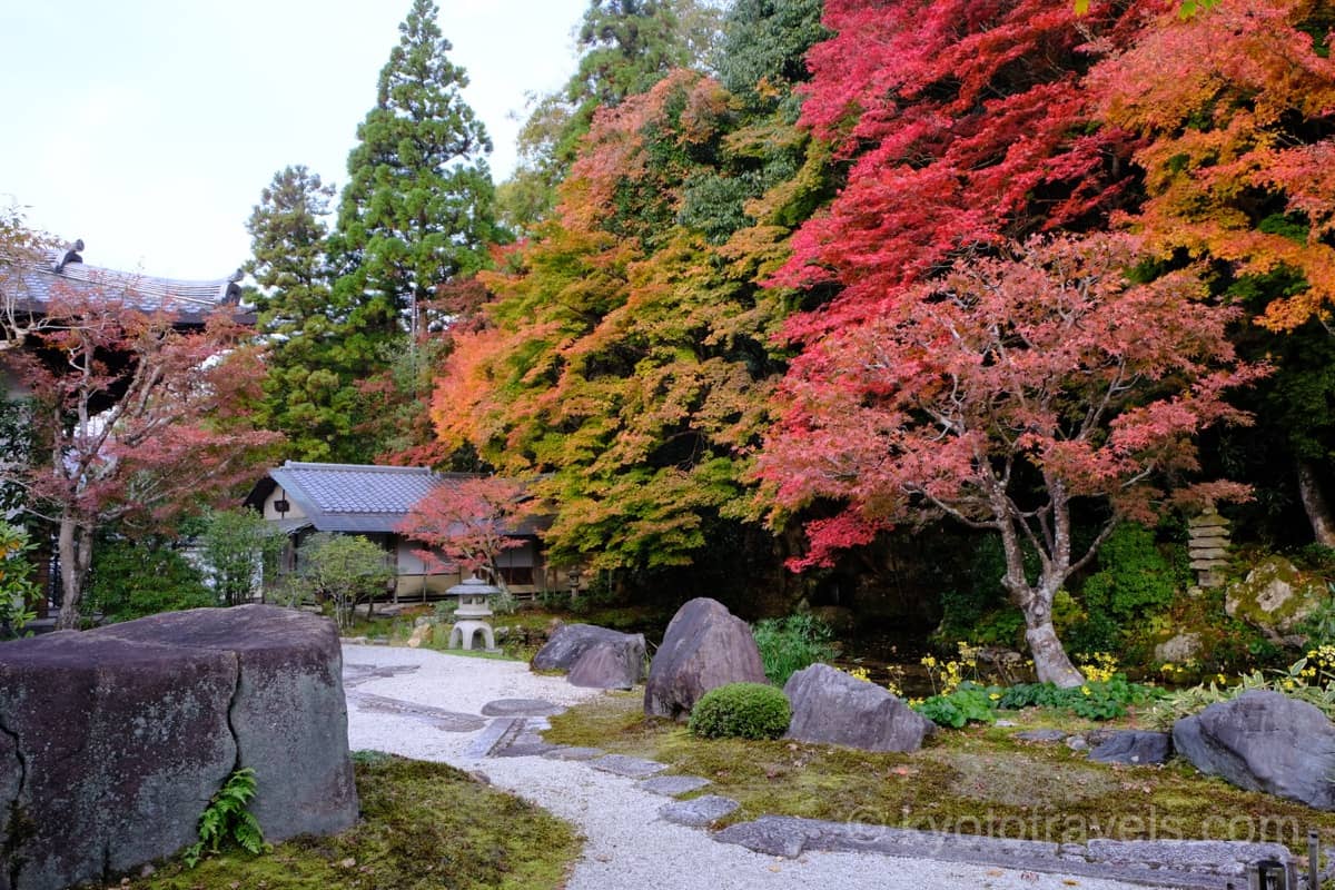 南禅寺 枯山水庭園の紅葉