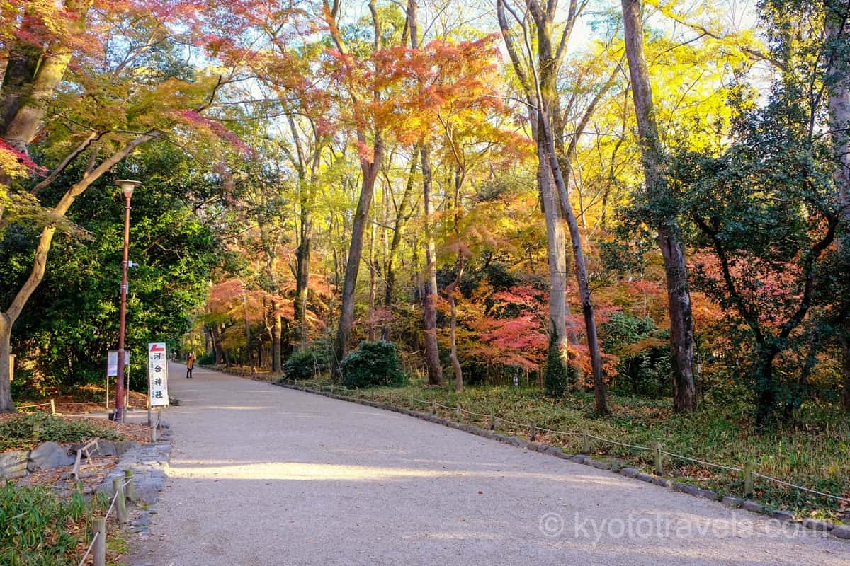 下鴨神社 糺の森の紅葉