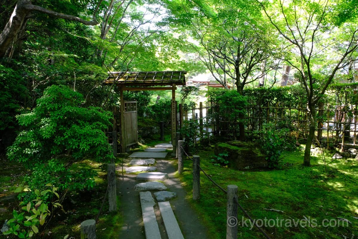 天授庵 池泉回遊式庭園の入り口の新緑