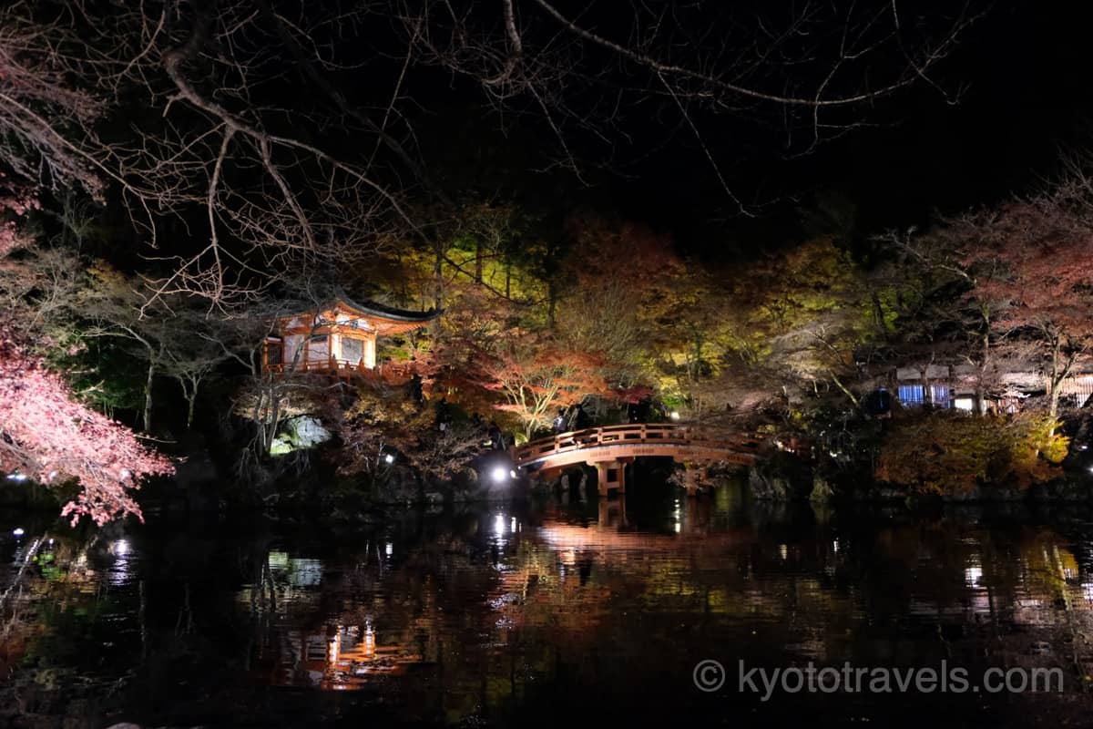 醍醐寺 弁天堂と無量寿苑の紅葉ライトアップ
