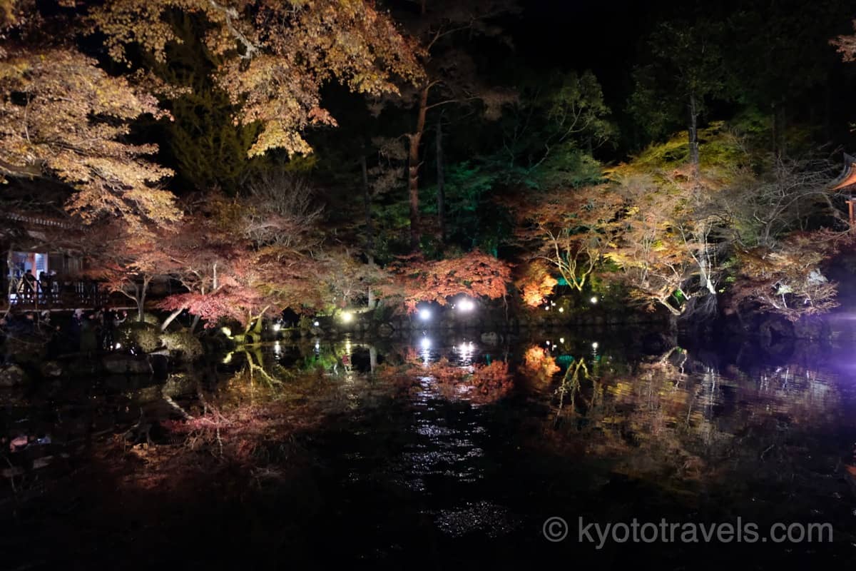 醍醐寺 観音堂と池の紅葉ライトアップ