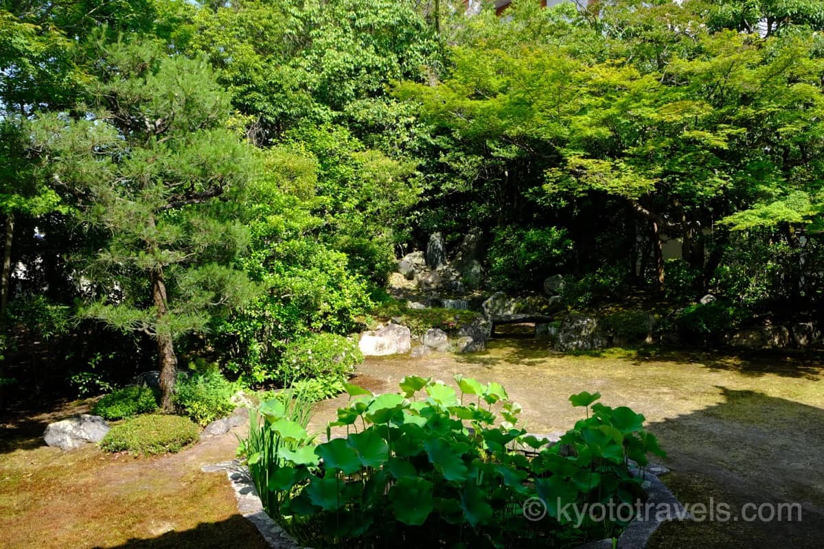 本法寺 巴の庭と滝