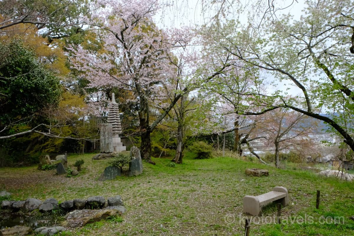 岩屋寺の桜と石柱