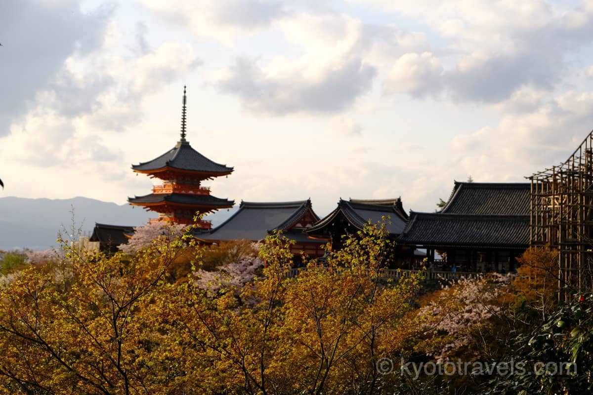清水寺 三重塔と桜