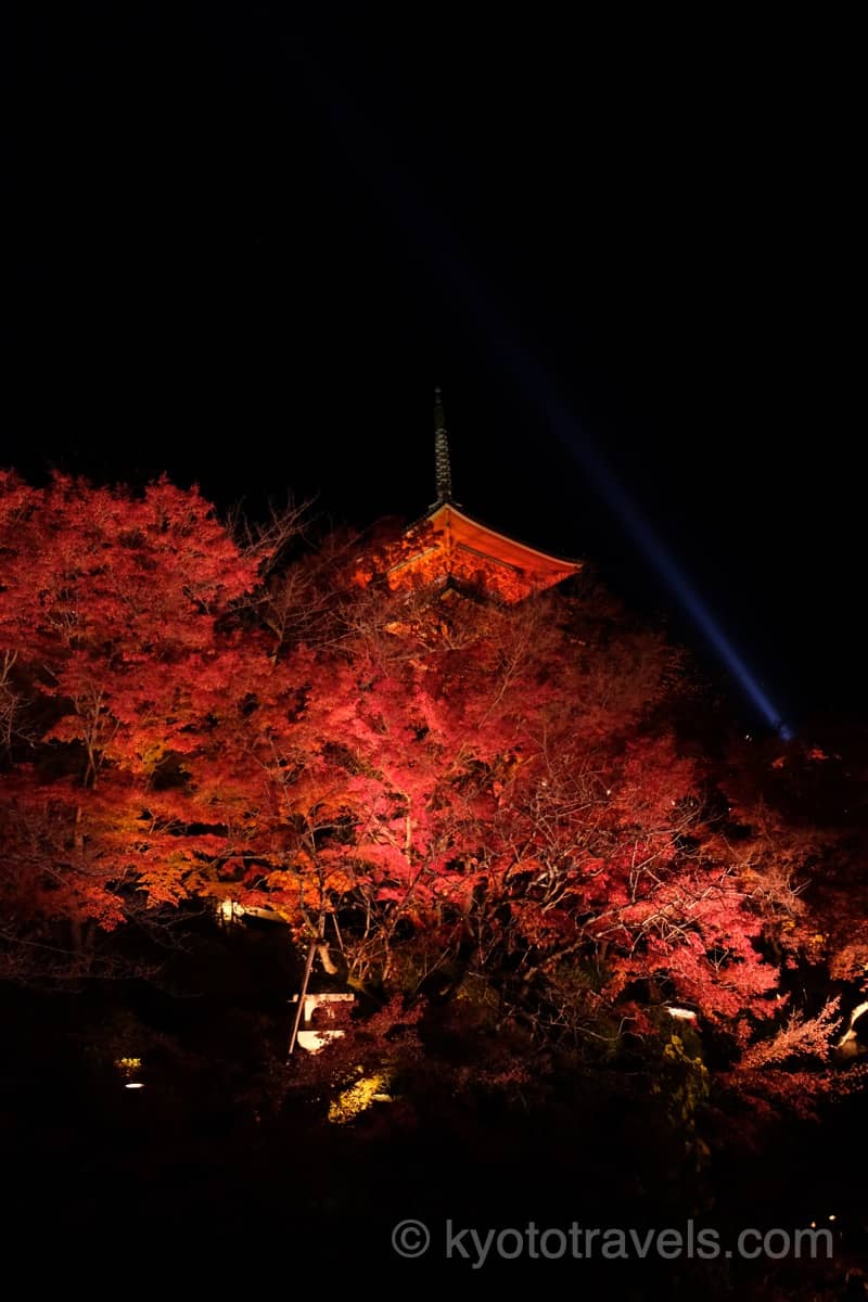 清水寺 三重塔と紅葉ライトアップ