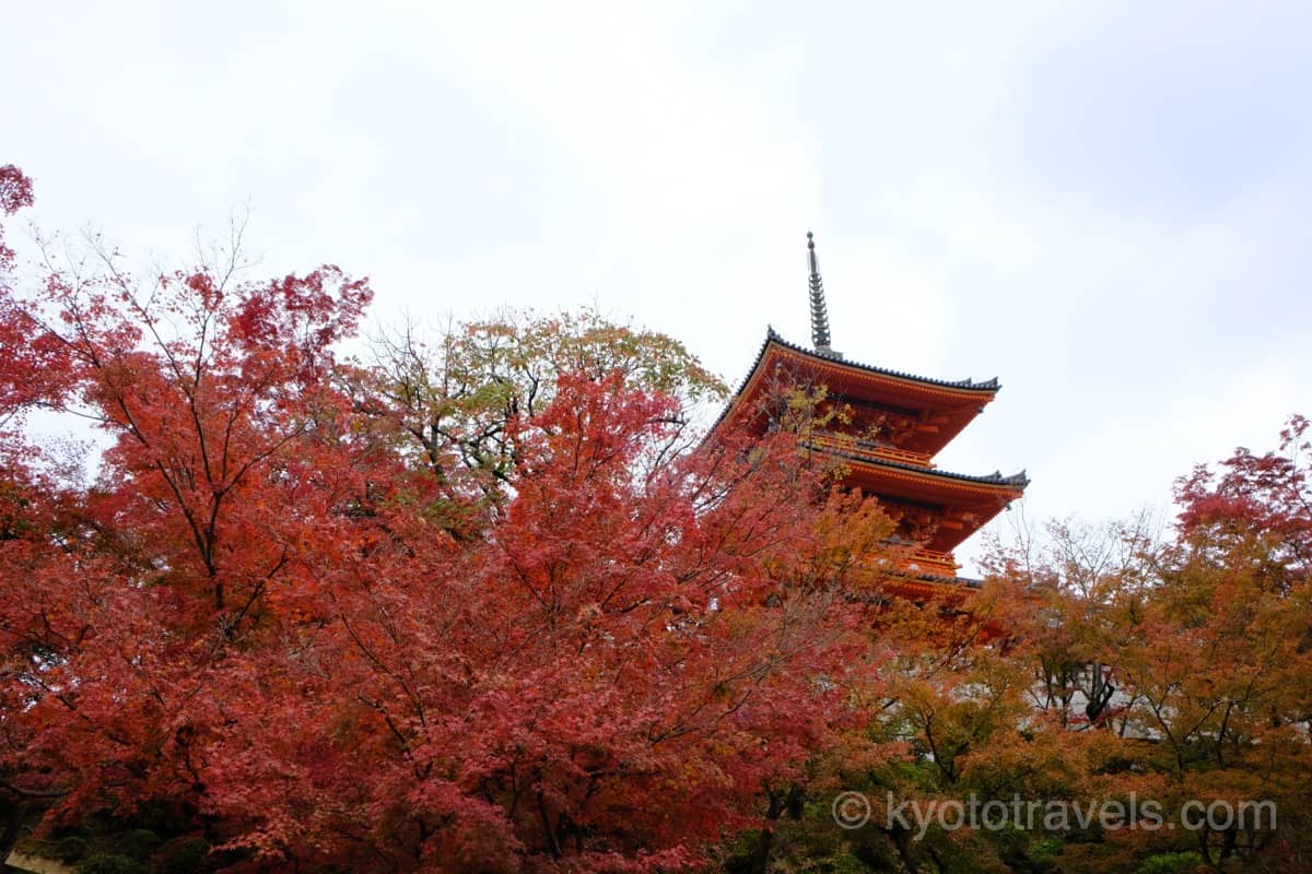 清水寺 三重塔と紅葉