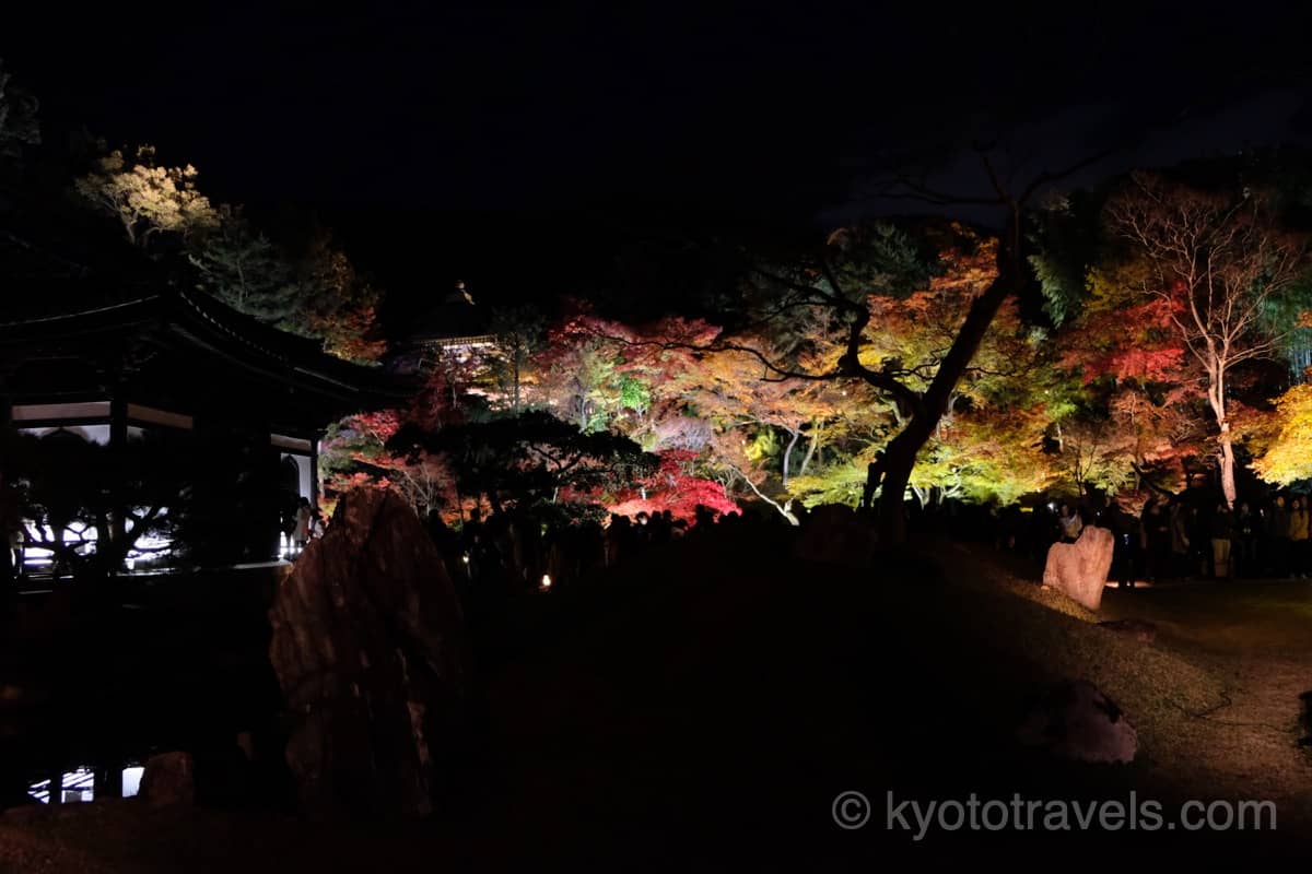 高台寺 開山堂と庭園の紅葉ライトアップ