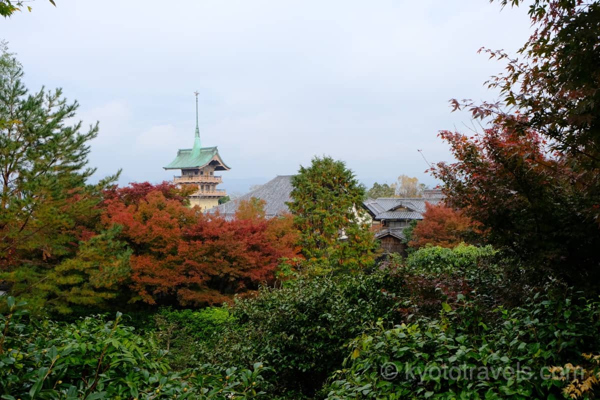 高台寺 紅葉シーズンの眺望