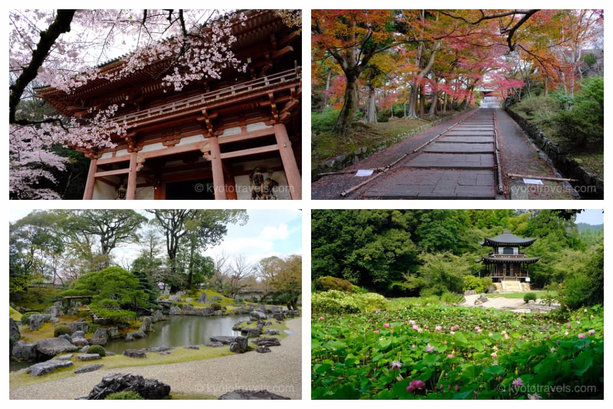 醍醐寺の仁王門と桜、毘沙門堂の勅使門前の階段の紅葉、三宝院の庭園、勧修寺のハスと観音堂の画像がグリッドで配置されています