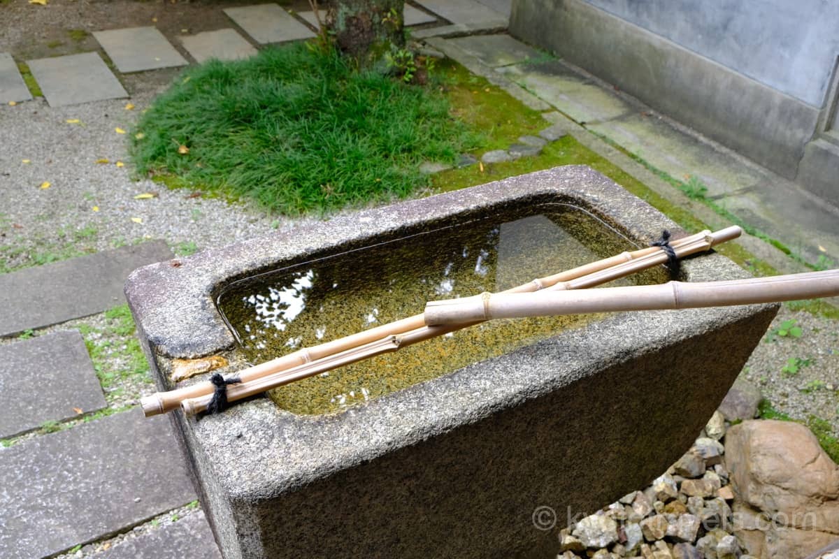 圓徳院 檜垣の手水鉢