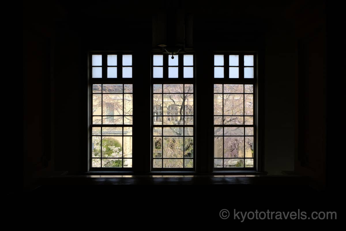 京都府庁旧本館の窓から桜を眺める