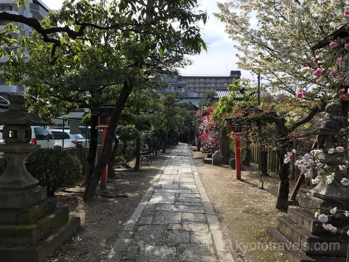首途八幡宮 桜と桃が美しい参道