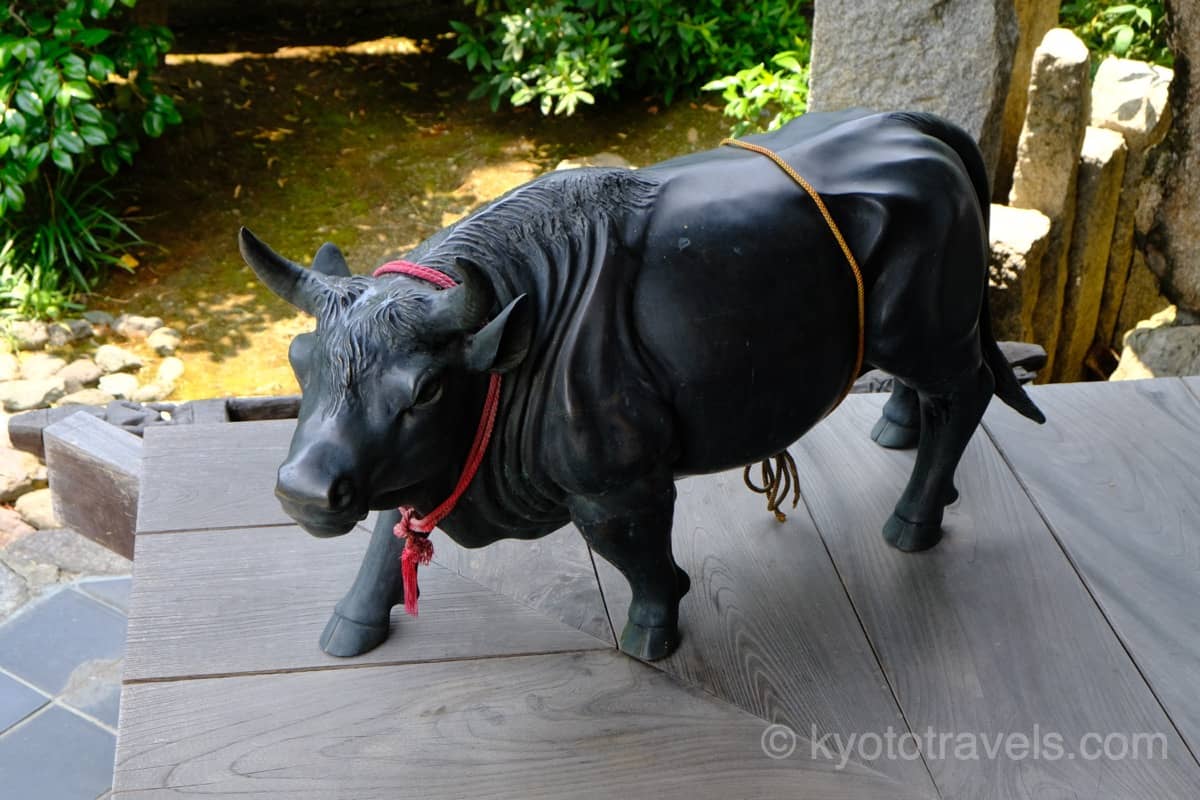 達磨寺の庭園にいる牛
