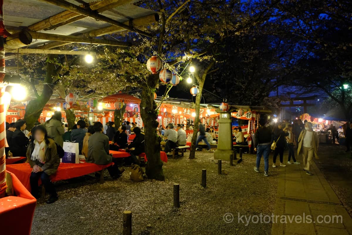 平野神社のライトアップと桜茶屋