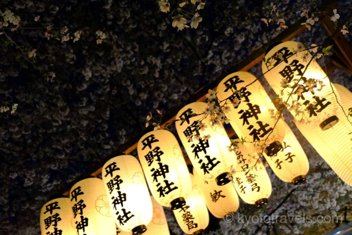 平野神社の桜ライトアップとちょうちん