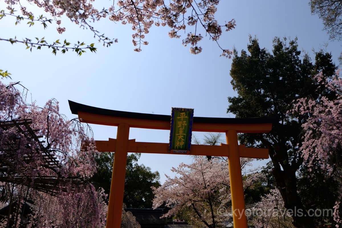 平野神社の桜と鳥居