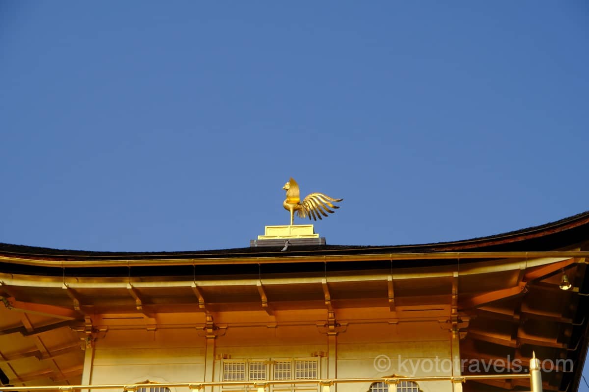 金閣寺 屋根の鳳凰