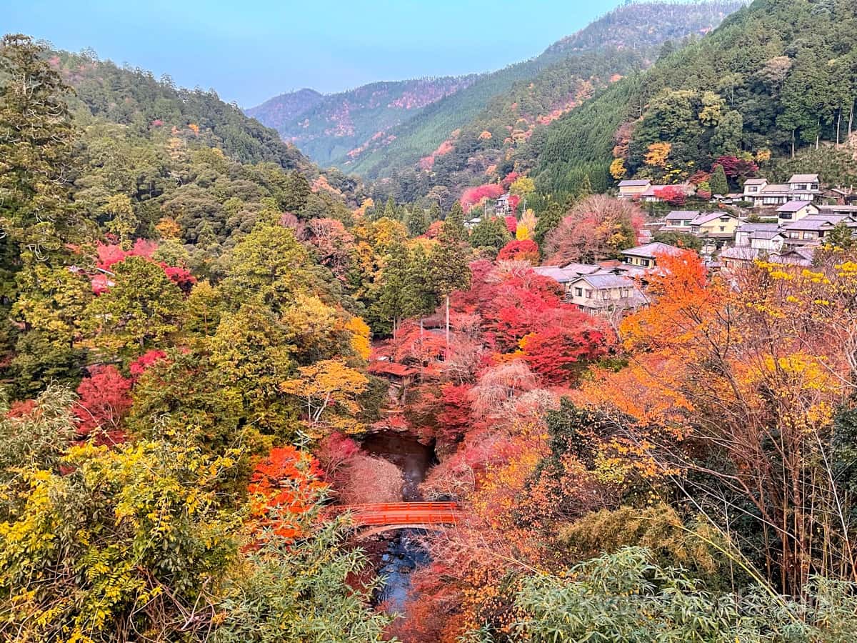 高山寺周辺の紅葉