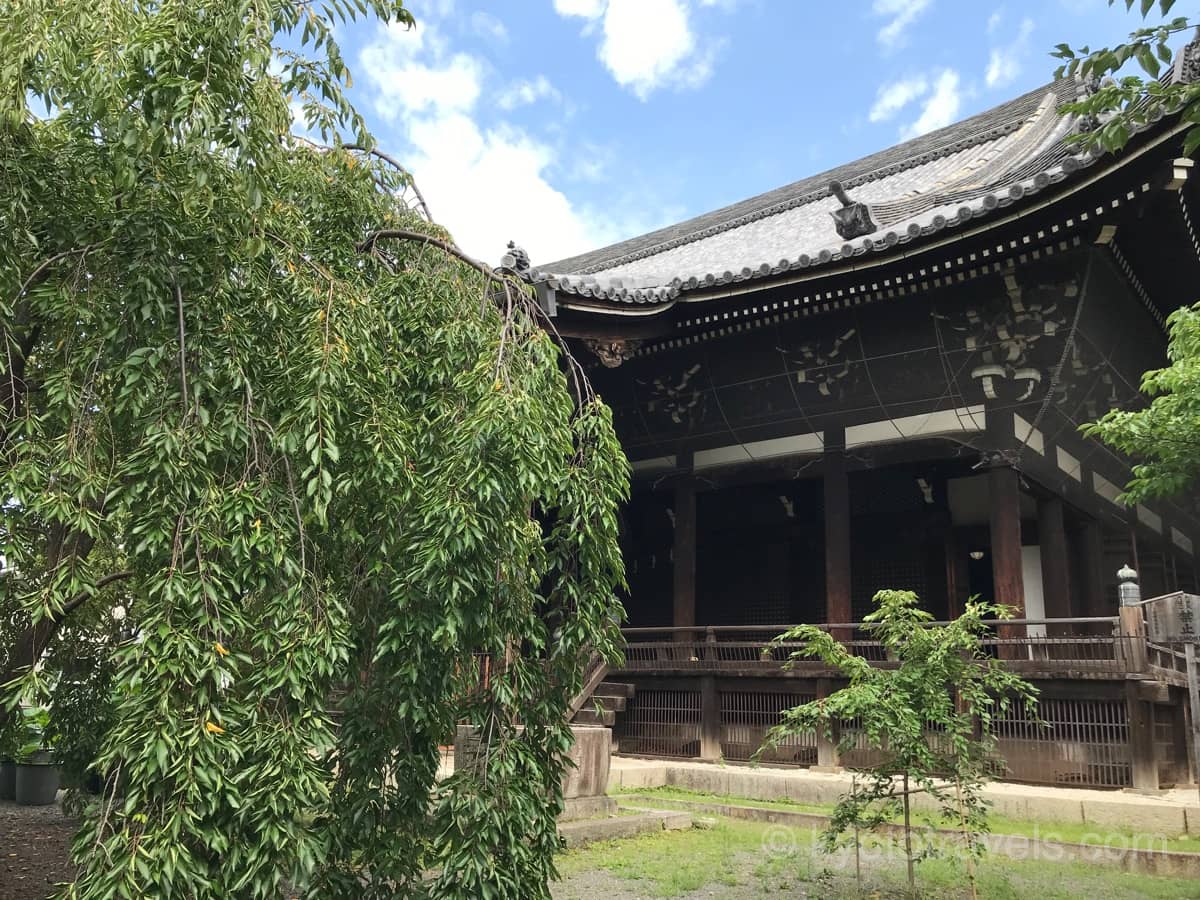 立本寺の本堂と桜
