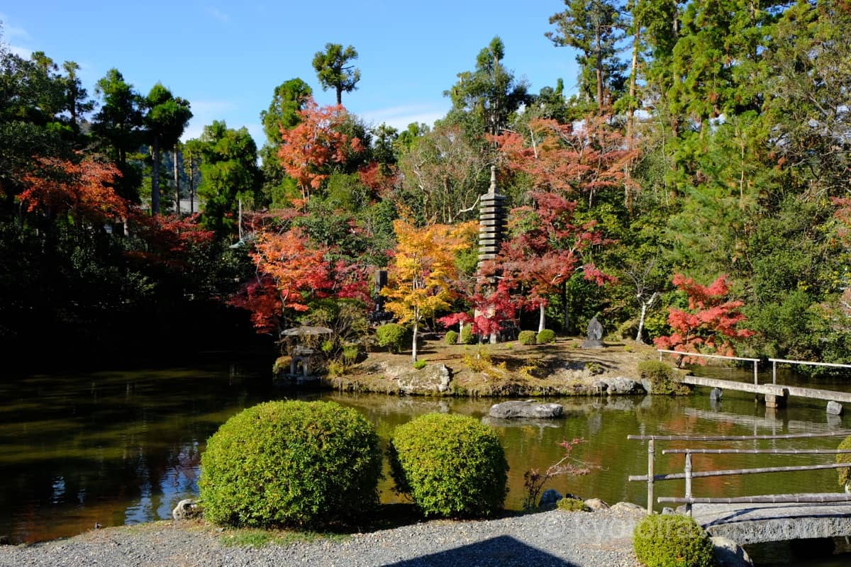 清凉寺の放生池と紅葉