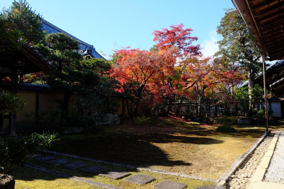 清凉寺 庭園の紅葉