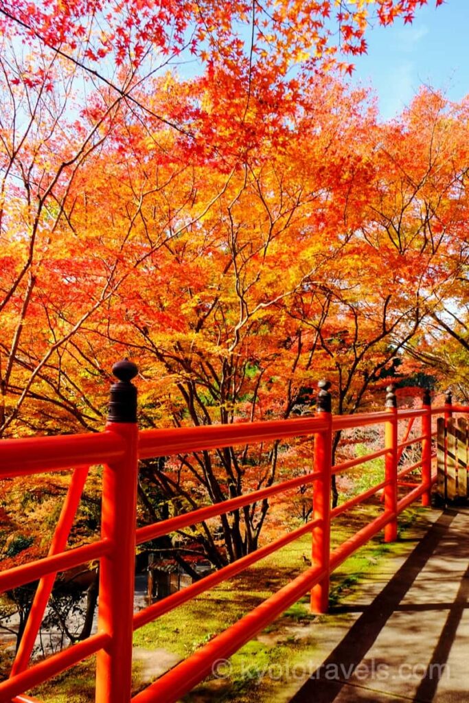 今熊野観音寺 茶所の紅葉