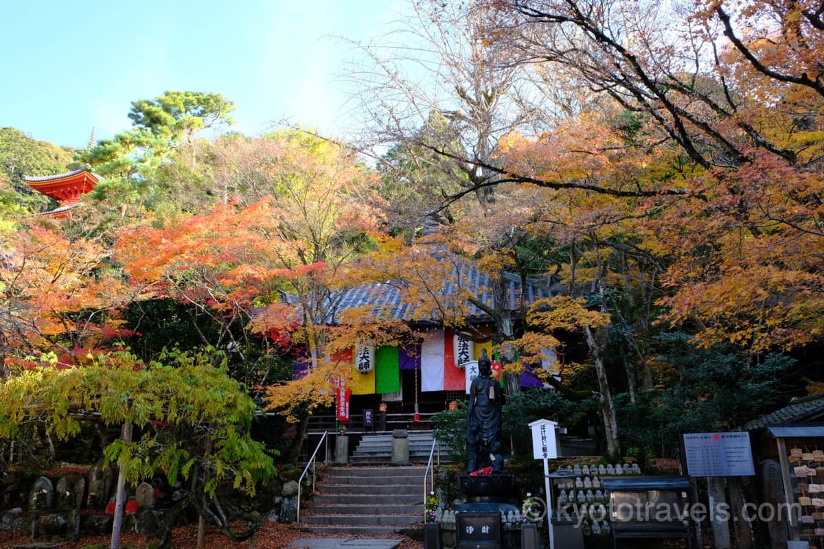 今熊野観音寺 大師堂の紅葉