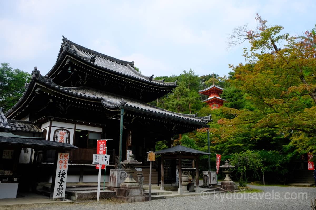 今熊野観音寺の本堂と医聖堂