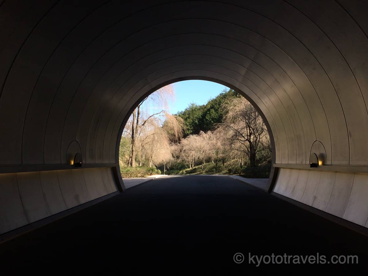 MIHO MUSEUM トンネルと桜