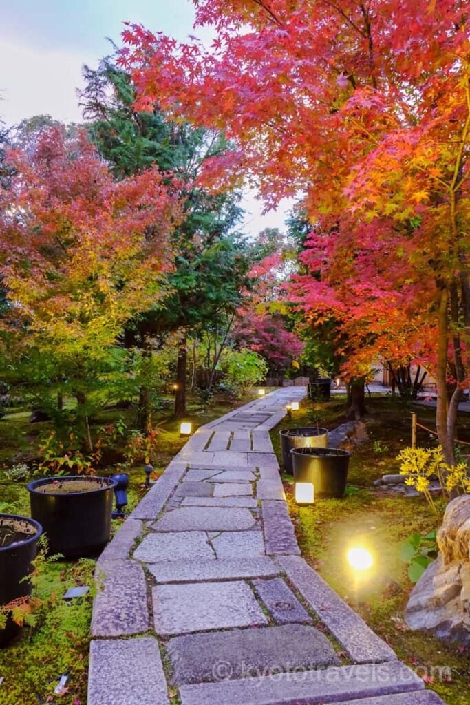 勝林寺 境内の紅葉とライトアップ