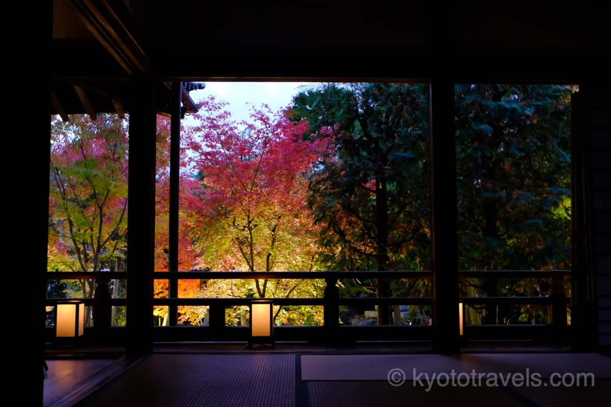 勝林寺 本堂から紅葉ライトアップを眺める