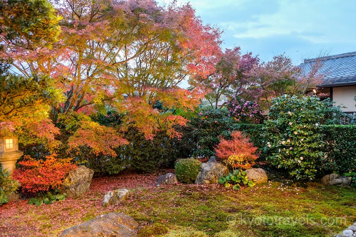 天得院 庭園の紅葉