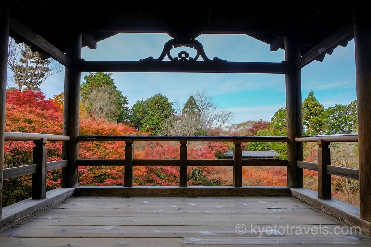 東福寺 通天橋から眺める紅葉