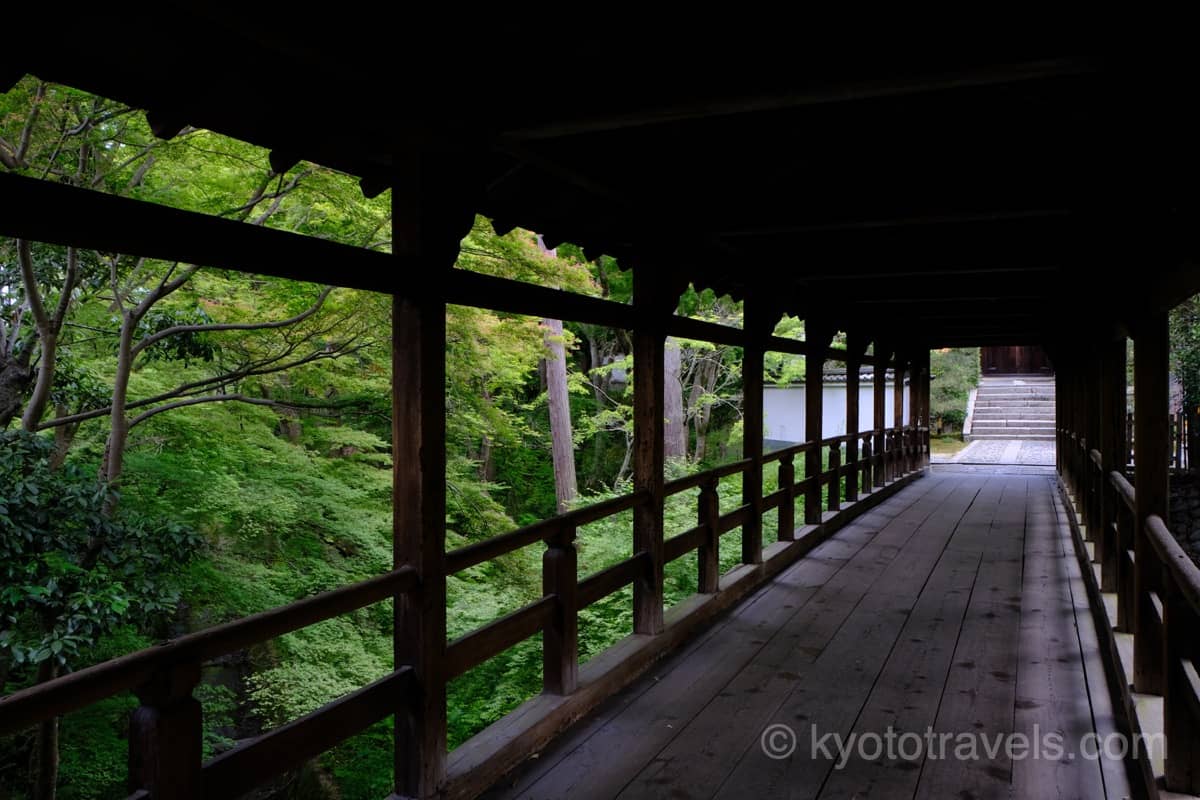 東福寺 偃月橋の新緑