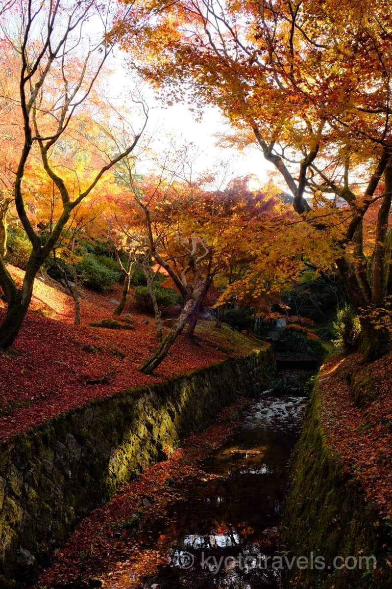 東福寺 洗玉澗と通天橋の紅葉