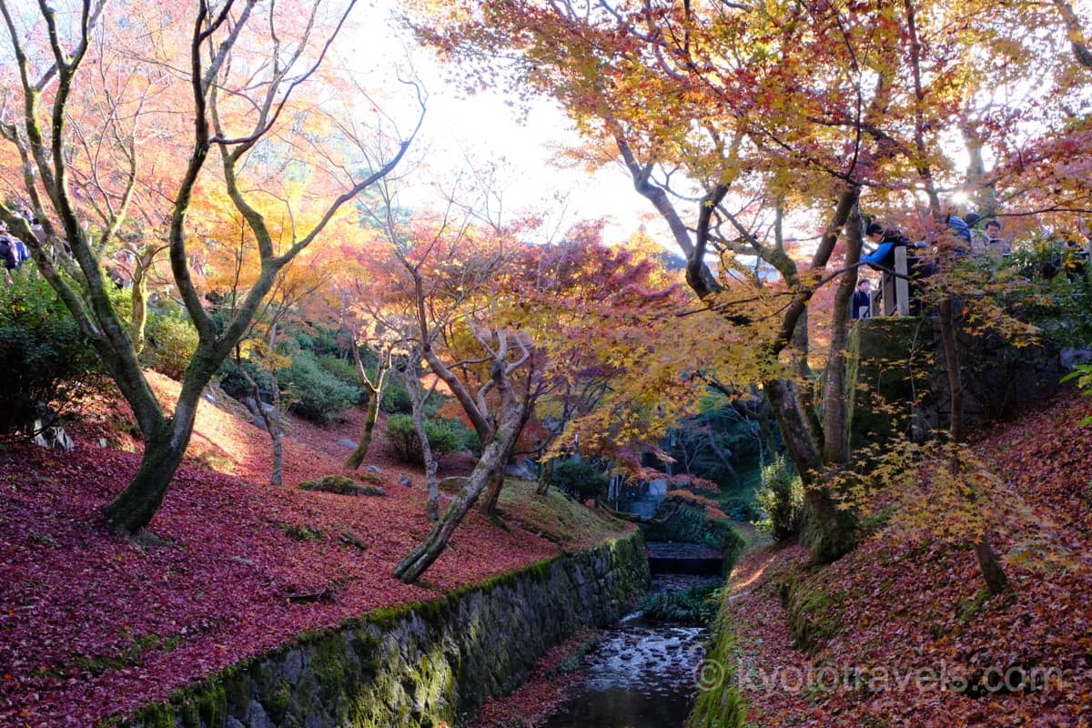 東福寺 通天橋と洗玉澗の紅葉