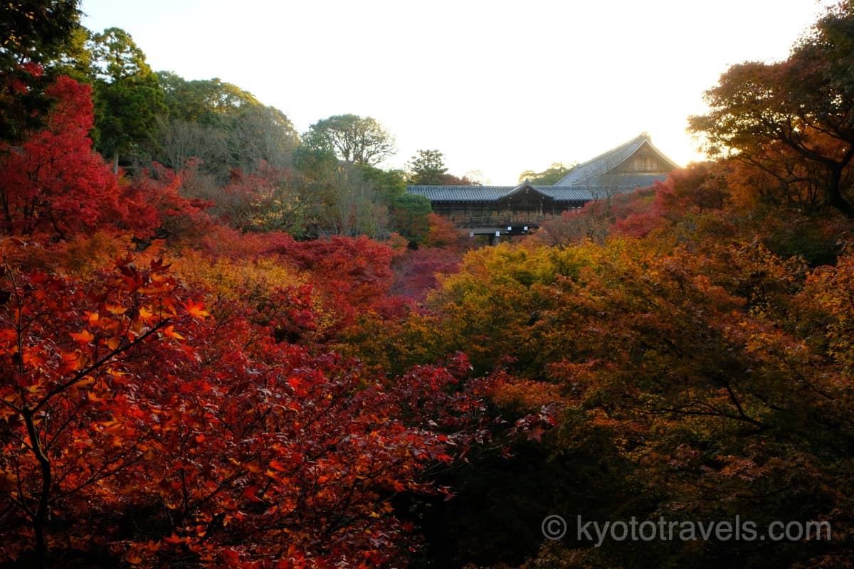 東福寺 臥雲橋から通天橋の紅葉を眺める